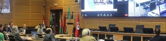 المجلس التنفيذي للاتحاد يعقد اجتماعه نصف السنوي باستعمال التواصل عن بعد