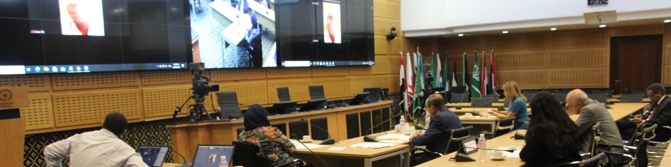 ندوة  برامجية حول التوعية الصحية بجائحة كورونا في البرامج التلفزيونية : النجاعة والتأثير